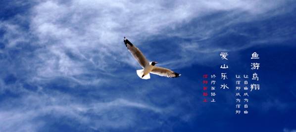 么好但不会像你想象得那么糟既然选择了无论好的还是糟的请坚持下去！麻将胡了2试玩我的365天创业日记—创业永远不可能像你想象得那(图6)