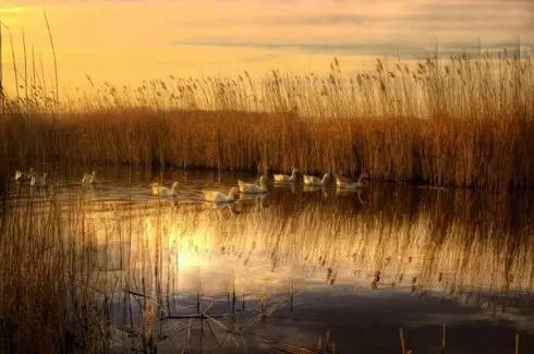 么好但不会像你想象得那么糟既然选择了无论好的还是糟的请坚持下去！麻将胡了2试玩我的365天创业日记—创业永远不可能像你想象得那(图8)