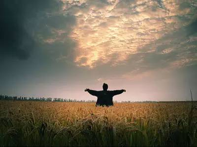 么好但不会像你想象得那么糟既然选择了无论好的还是糟的请坚持下去！麻将胡了2试玩我的365天创业日记—创业永远不可能像你想象得那(图9)